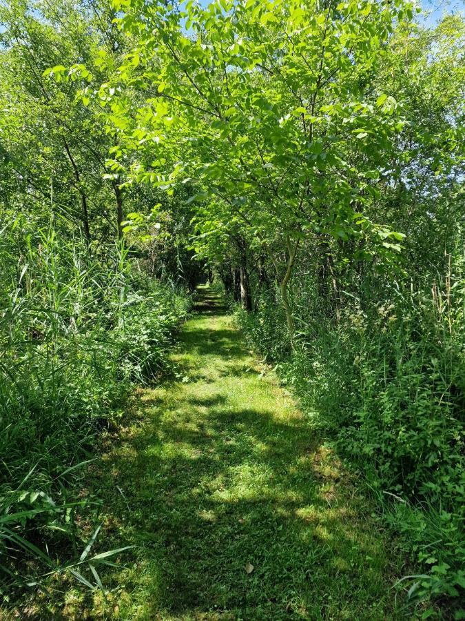 Ruheoase Am Bodensee Inkl Kayak Gaienhofen  Eksteriør bilde